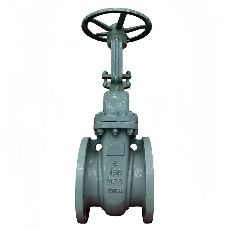 Van cổng mặt bích ANSI bằng thép carbon