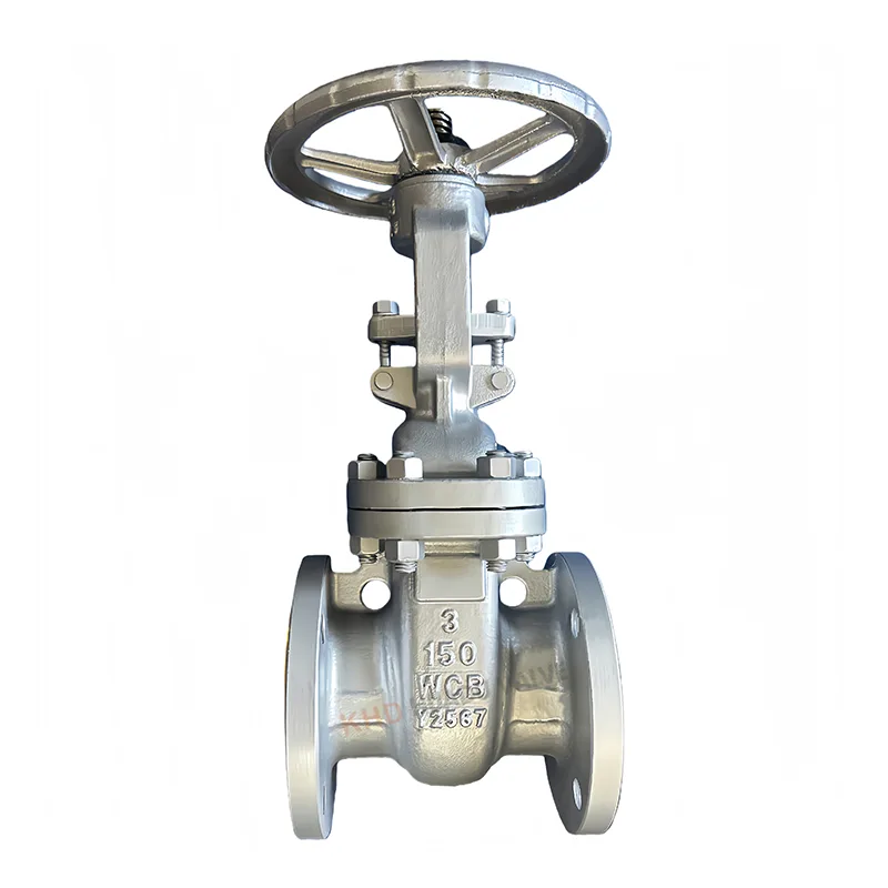 Van cổng ANSI bằng thép carbon