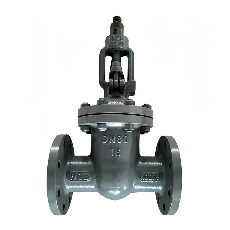 Van cổng mặt bích bằng thép carbon